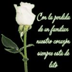 IMG_20200620_223131