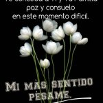 beb7d59cace8ed15c64bef83243fa215