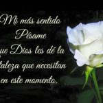 bf6be6441da3da4edc04ea4ba2bd6d74