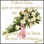 1325f303d9de72844e5094601f45082c