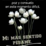2956eca76db7f14de5526ee2dda3d8e7