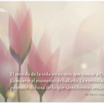 Condolencias