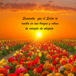 Susana