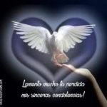 frases-cortas-de-mi-mas-sentido-pesame-18-300x288