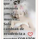 17266aea96021f5a37daaebb581edd35