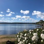 IMG-20190225-WA0011