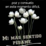 e146d3b45dfe86b2dd80d20042e798ea