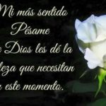 20210201_110629