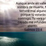 Valle