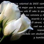 b8c88f7f675c72a1dc171de060492380