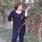 Nuevo proyecto (41)