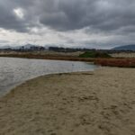 IMG_20220620_114215595_HDR