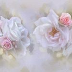 Rosas