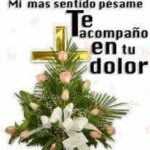 IMG-20220228-WA0031