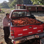 Screenshot_20220514_175023_com.google.android.apps.photos