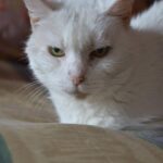 IMG_20221106_154710