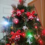 IMG_20231225_024205