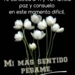 d882845034724c1d242e35928f09350d