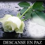 5BD711D5-D3B3-4389-AC11-224D8242790A